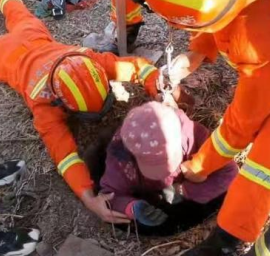 生死之间草莓视频污免费下载撑起生命的天
